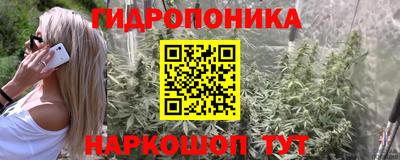 прущая мука Аргун